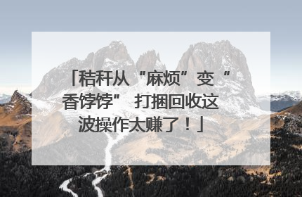 秸秆从“麻烦”变“香饽饽” 打捆回收这波操作太赚了！