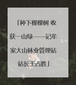 种下棵棵树 收获一山绿——记牟家大山林业管理站站长王占胜