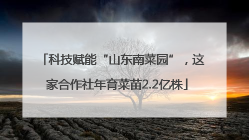 科技赋能“山东南菜园”，这家合作社年育菜苗2.2亿株