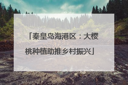 秦皇岛海港区：大樱桃种植助推乡村振兴