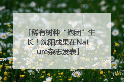 稀有树种“抱团”生长！沈阳成果在Nature杂志发表