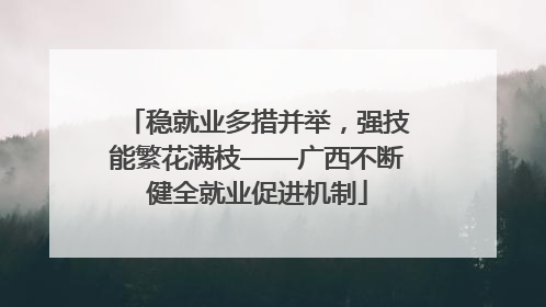 稳就业多措并举，强技能繁花满枝——广西不断健全就业促进机制