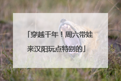 穿越千年！周六带娃来汉阳玩点特别的