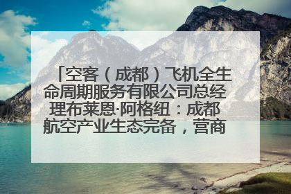 空客（成都）飞机全生命周期服务有限公司总经理布莱恩·阿格纽：成都航空产业生态完备，营商环境优势显著