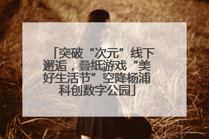 突破“次元”线下邂逅，叠纸游戏“美好生活节”空降杨浦科创数字公园