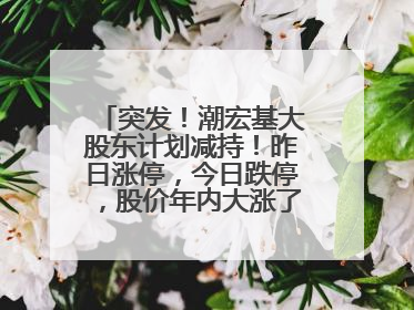 突发！潮宏基大股东计划减持！昨日涨停，今日跌停，股价年内大涨了197%