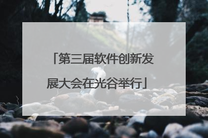 第三届软件创新发展大会在光谷举行