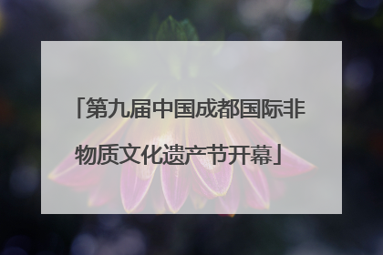 第九届中国成都国际非物质文化遗产节开幕