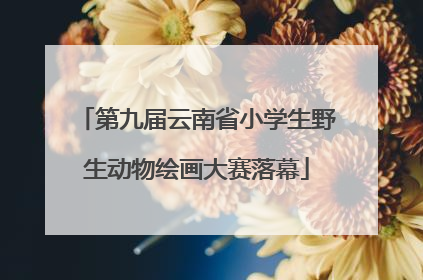 第九届云南省小学生野生动物绘画大赛落幕