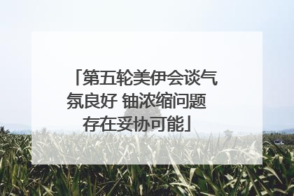 第五轮美伊会谈气氛良好 铀浓缩问题存在妥协可能