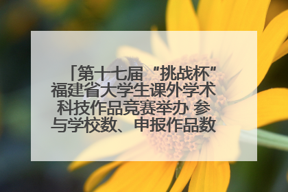 第十七届“挑战杯”福建省大学生课外学术科技作品竞赛举办 参与学校数、申报作品数创历史新高