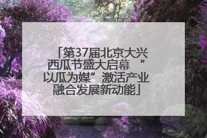 第37届北京大兴西瓜节盛大启幕 “以瓜为媒”激活产业融合发展新动能