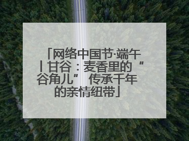 网络中国节·端午丨甘谷：麦香里的“谷角儿” 传承千年的亲情纽带