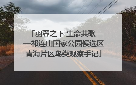羽翼之下 生命共歌——祁连山国家公园候选区青海片区鸟类观察手记