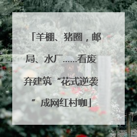羊棚、猪圈，邮局、水厂……看废弃建筑“花式逆袭”成网红村咖