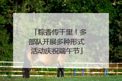 粽香传千里！多部队开展多种形式活动庆祝端午节