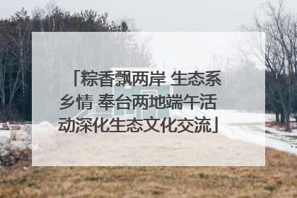 粽香飘两岸 生态系乡情 奉台两地端午活动深化生态文化交流