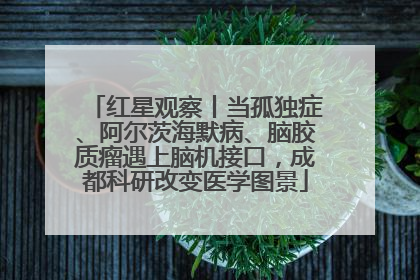 红星观察丨当孤独症、阿尔茨海默病、脑胶质瘤遇上脑机接口，成都科研改变医学图景