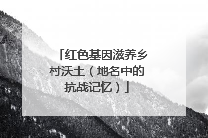 红色基因滋养乡村沃土（地名中的抗战记忆）