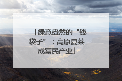 绿意盎然的“钱袋子”：高原夏菜成富民产业