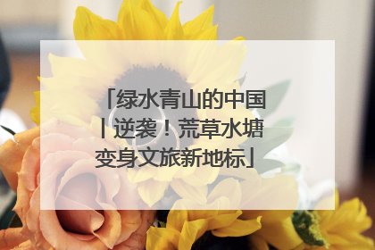 绿水青山的中国丨逆袭！荒草水塘变身文旅新地标