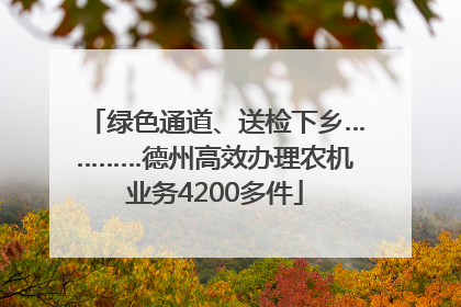 绿色通道、送检下乡…………德州高效办理农机业务4200多件