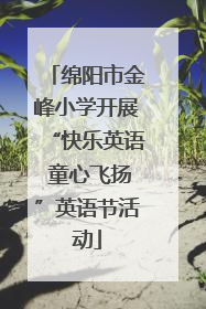 绵阳市金峰小学开展“快乐英语 童心飞扬”英语节活动