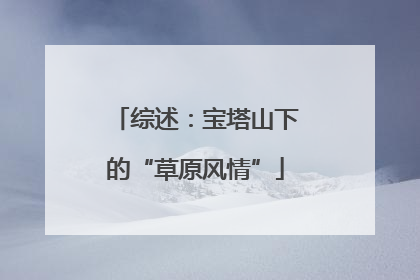 综述：宝塔山下的“草原风情”