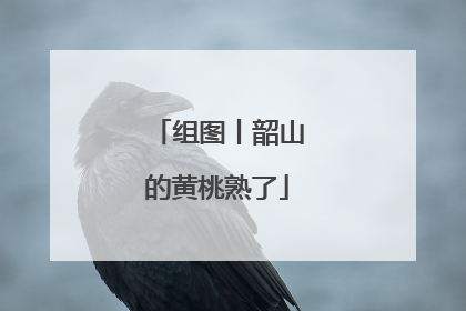 组图丨韶山的黄桃熟了