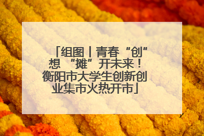 组图丨青春“创”想 “摊”开未来！衡阳市大学生创新创业集市火热开市