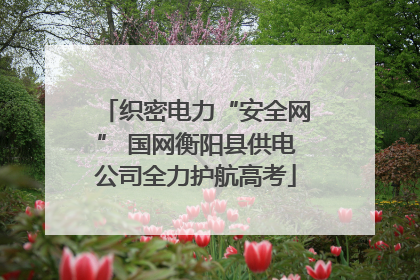织密电力“安全网” 国网衡阳县供电公司全力护航高考