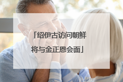 绍伊古访问朝鲜 将与金正恩会面