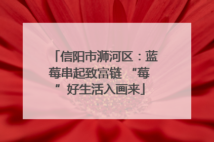 信阳市浉河区：蓝莓串起致富链 “莓”好生活入画来