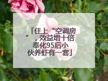 住上“空调房”，效益增十倍 奉化95后小伙养虾有一套