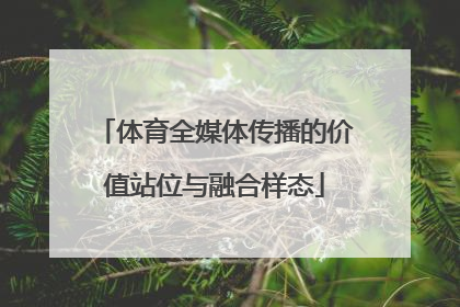 体育全媒体传播的价值站位与融合样态