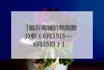 临沂商城价格指数分析（6月19日—6月25日）