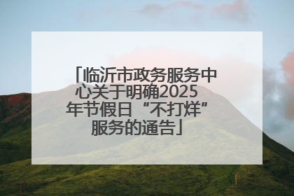 临沂市政务服务中心关于明确2025年节假日“不打烊”服务的通告