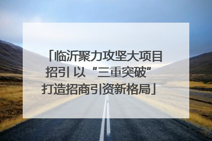 临沂聚力攻坚大项目招引 以“三重突破”打造招商引资新格局