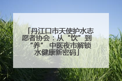 丹江口市天使护水志愿者协会：从“饮”到“养” 中医夜市解锁水健康新密码