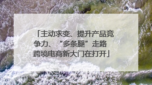主动求变、提升产品竞争力、“多条腿”走路 跨境电商新大门在打开