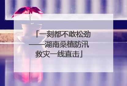 一刻都不敢松劲——湖南桑植防汛救灾一线直击