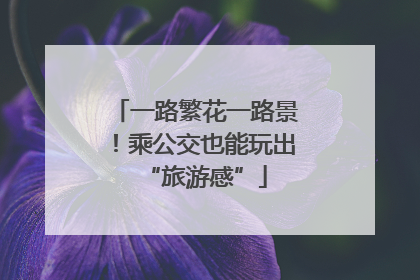 一路繁花一路景！乘公交也能玩出“旅游感”