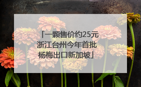 一颗售价约25元 浙江台州今年首批杨梅出口新加坡