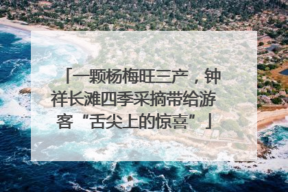 一颗杨梅旺三产，钟祥长滩四季采摘带给游客“舌尖上的惊喜”