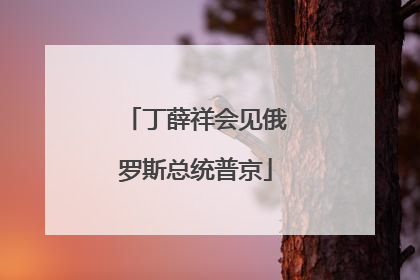 丁薛祥会见俄罗斯总统普京