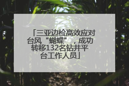 三亚边检高效应对台风“蝴蝶”，成功转移132名钻井平台工作人员
