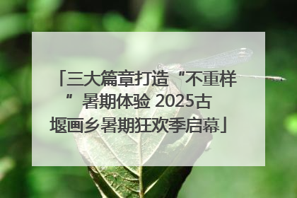 三大篇章打造“不重样”暑期体验 2025古堰画乡暑期狂欢季启幕