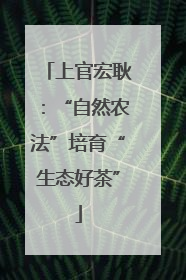 上官宏耿：“自然农法”培育“生态好茶”
