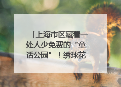 上海市区藏着一处人少免费的“童话公园”！绣球花海、金色秘境……地铁直达→