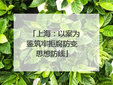 上海：以案为鉴筑牢拒腐防变思想防线